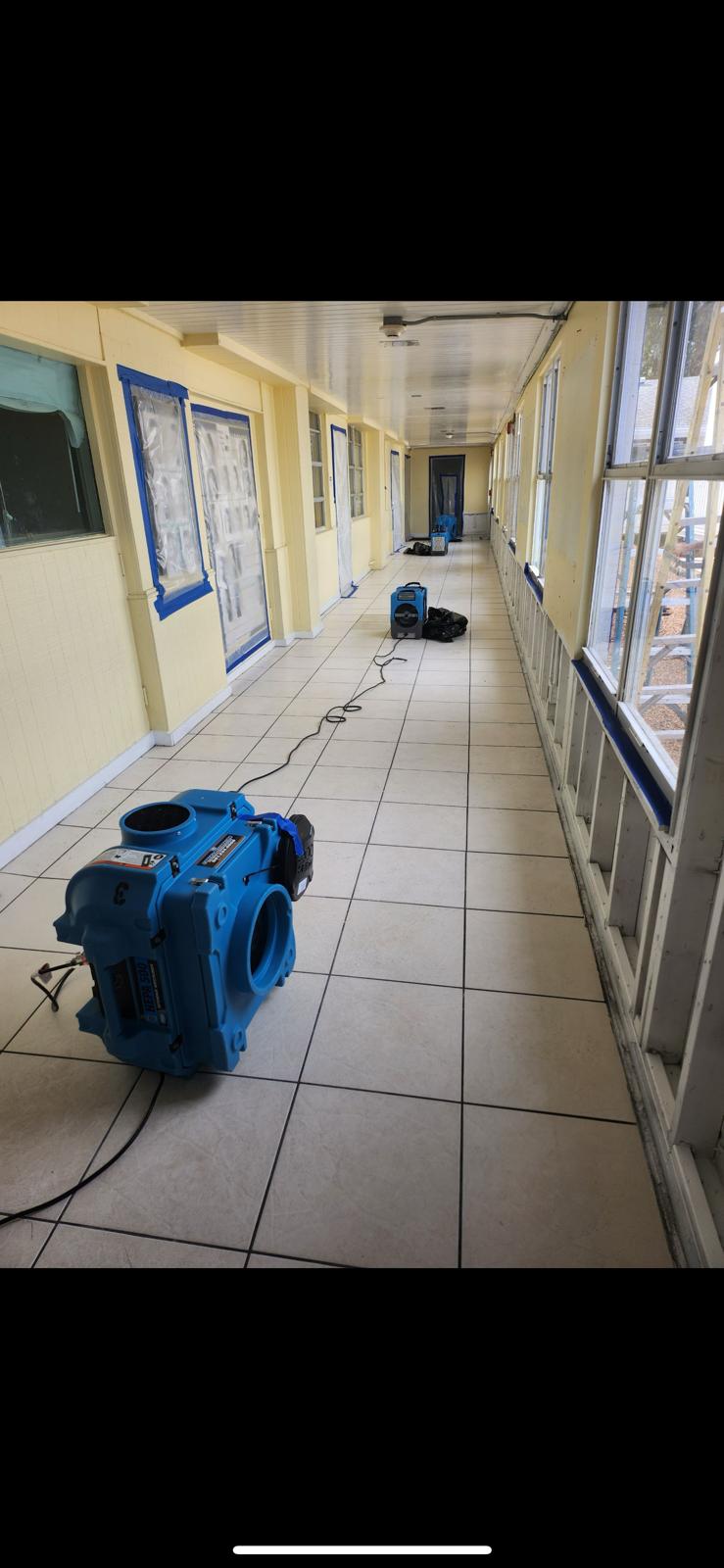 Mold Removal